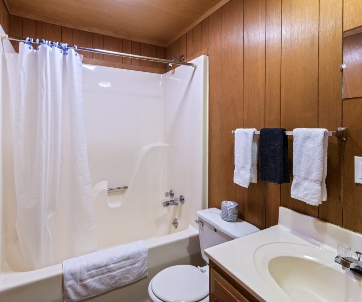Cindy Bear Cabin Rentals | Mark Twain Lake Jellystone Park