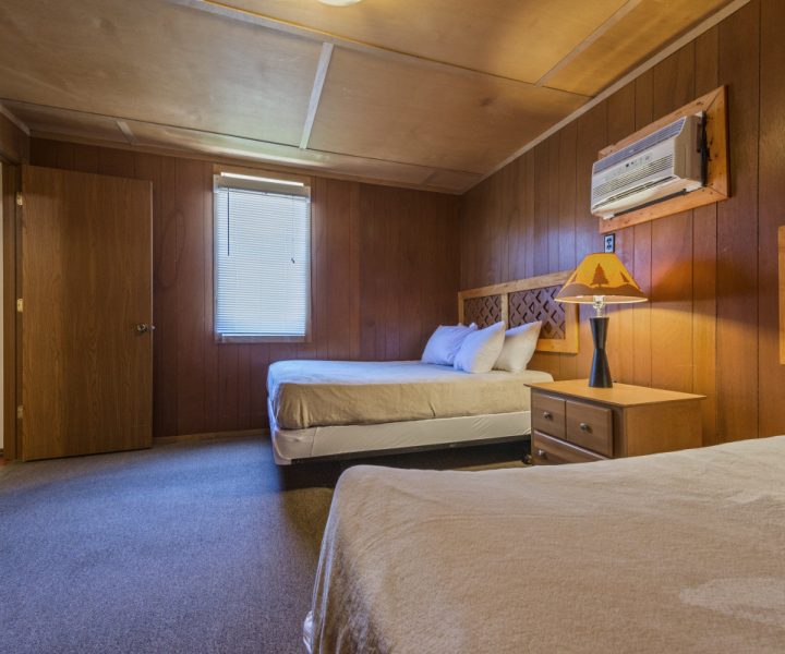 Cindy Bear Cabin Rentals | Mark Twain Lake Jellystone Park
