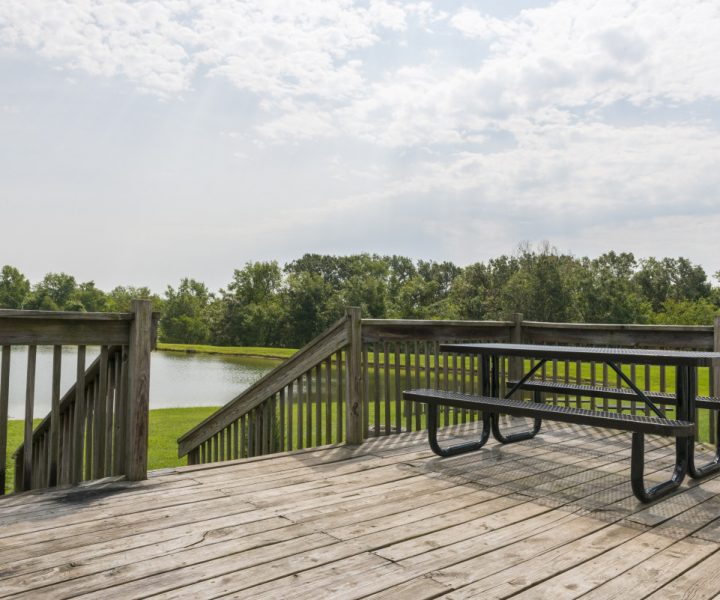 Cabin Rentals at Mark Twain Lake Jellystone Park