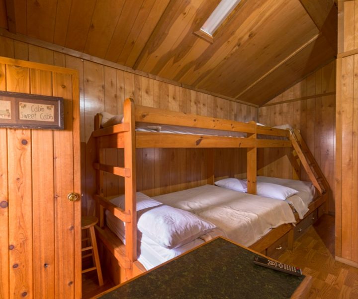 Boo Boo Cabins | Mark Twain Lake Jellystone Park
